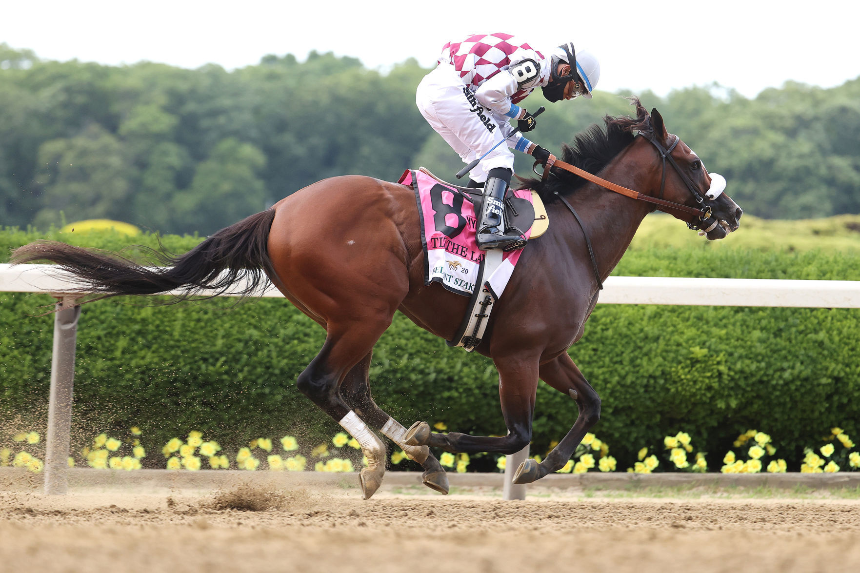 1. Tiz the Law delivered as classy a performance as you could ask for from a heavy favorite.